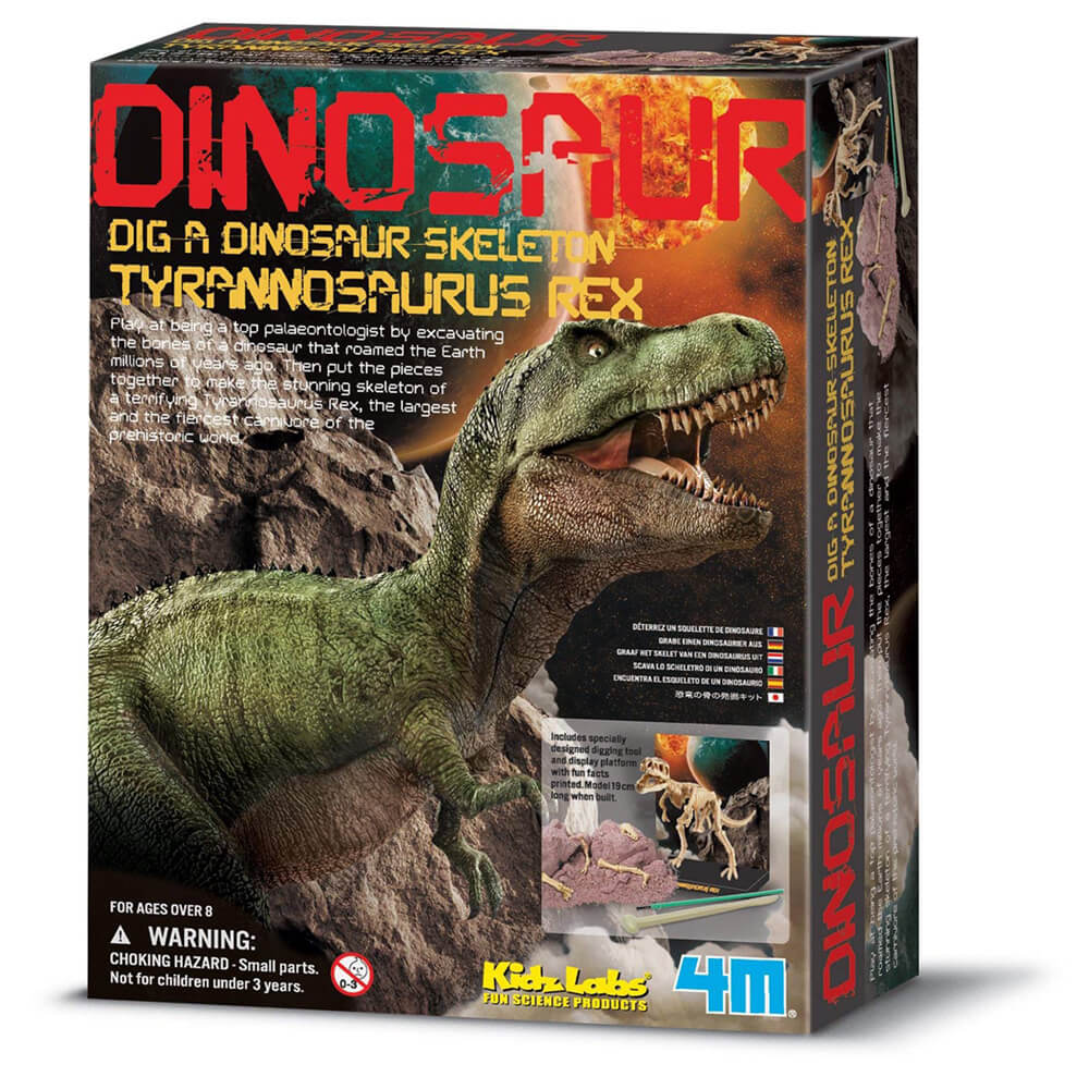 Kit Escavação e Realidade Aumentada Dino DNA Tiranossauro Rex - 4M, Mini  Cientista Brinquedos - Brinquedos Educativos e Criativos