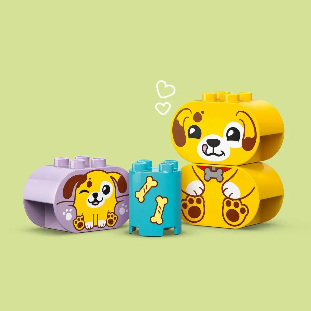 LEGO® DUPLO Shape Sorter Puppy House (10441)