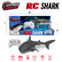 Thin Air Brands RC Shark
