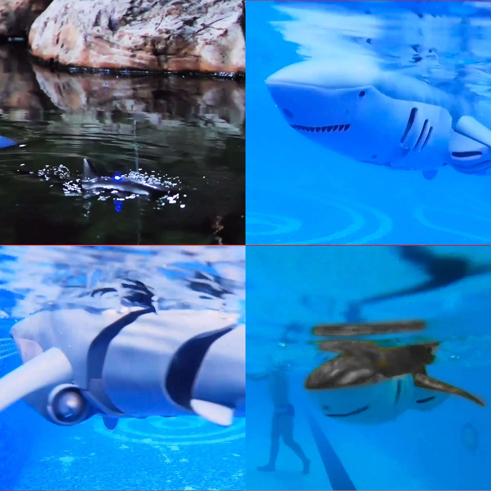 Thin Air Brands RC Shark