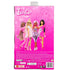 Back of Barbie Deluxe Style packaging showing multiple Barbie dolls in stylish pink outfits with product details and safety warnings.