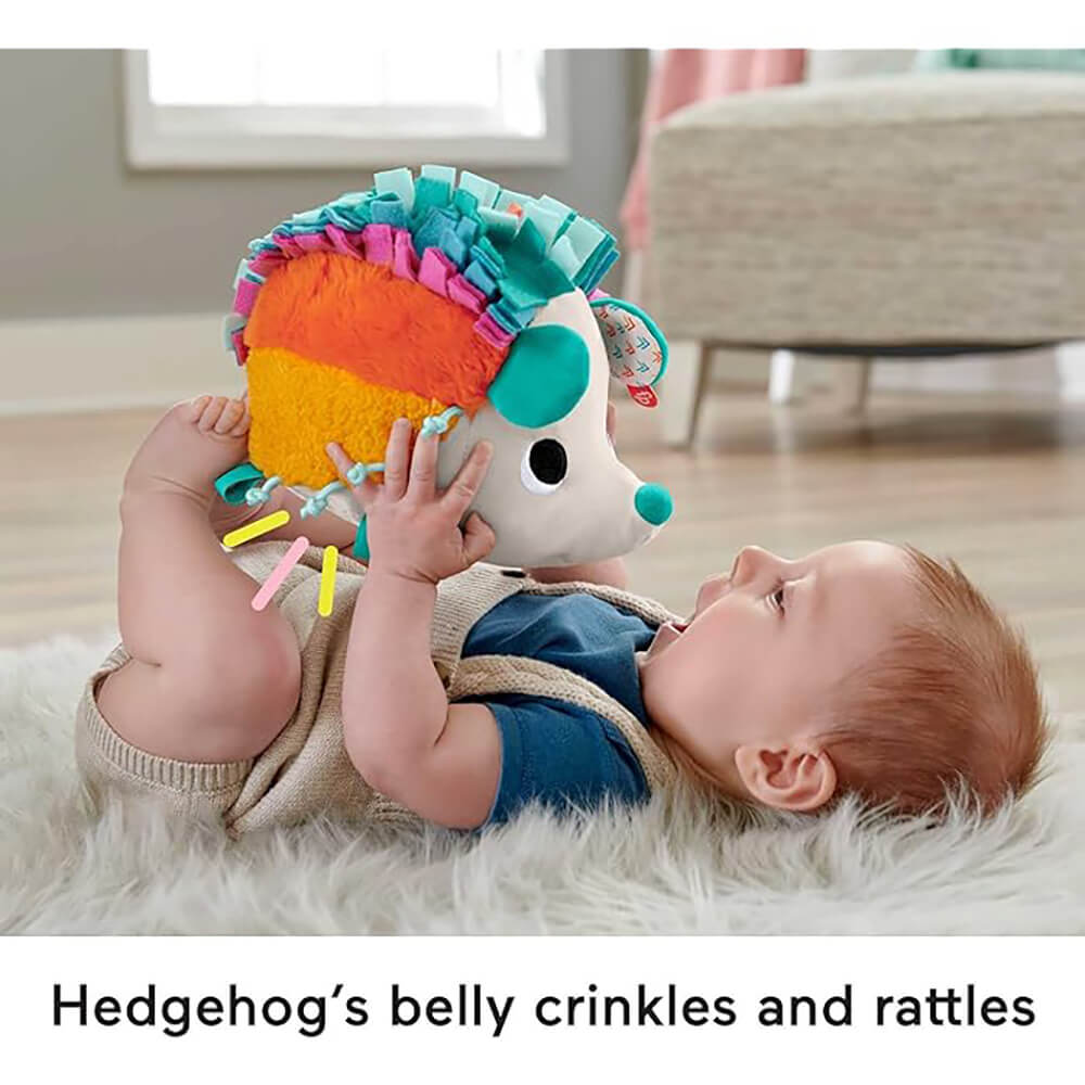 Fisher Price Cuddle N' Snuggle Hedgehog Newborn Plush Sensory Toy