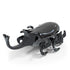 Hex Bots black rhino beetle robot toy made of glossy plastic with curved horn, rounded shell and multiple rotating legs, motorized design for scurrying and bouncing movement, isolated on white background