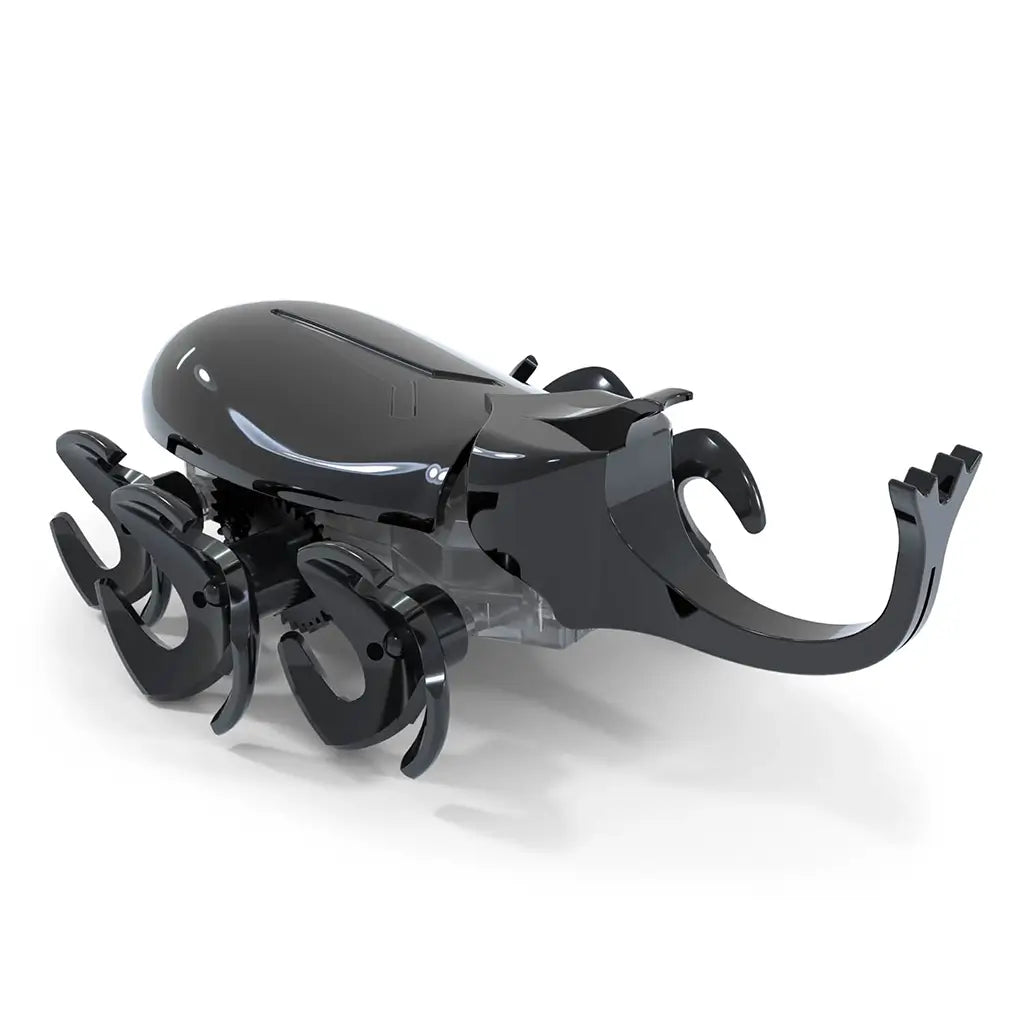 Hex Bots robotic rhino beetle toy in black glossy plastic featuring curved horn, rounded body and multiple rotating legs, compact motorized design for quick scurrying motion, angled view on white background