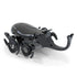 Hex Bots robotic rhino beetle toy in black glossy plastic featuring curved horn, rounded body and multiple rotating legs, compact motorized design for quick scurrying motion, angled view on white background
