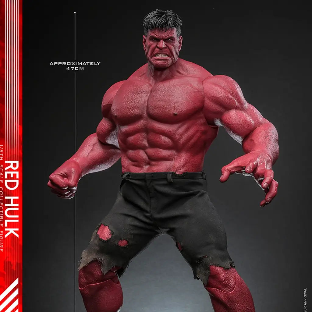Red Hulk Hot Toys sixth scale figure features textured red skin, a towering muscular build, black torn shorts, sculpted black hair, and an approximately 47 cm height guide.