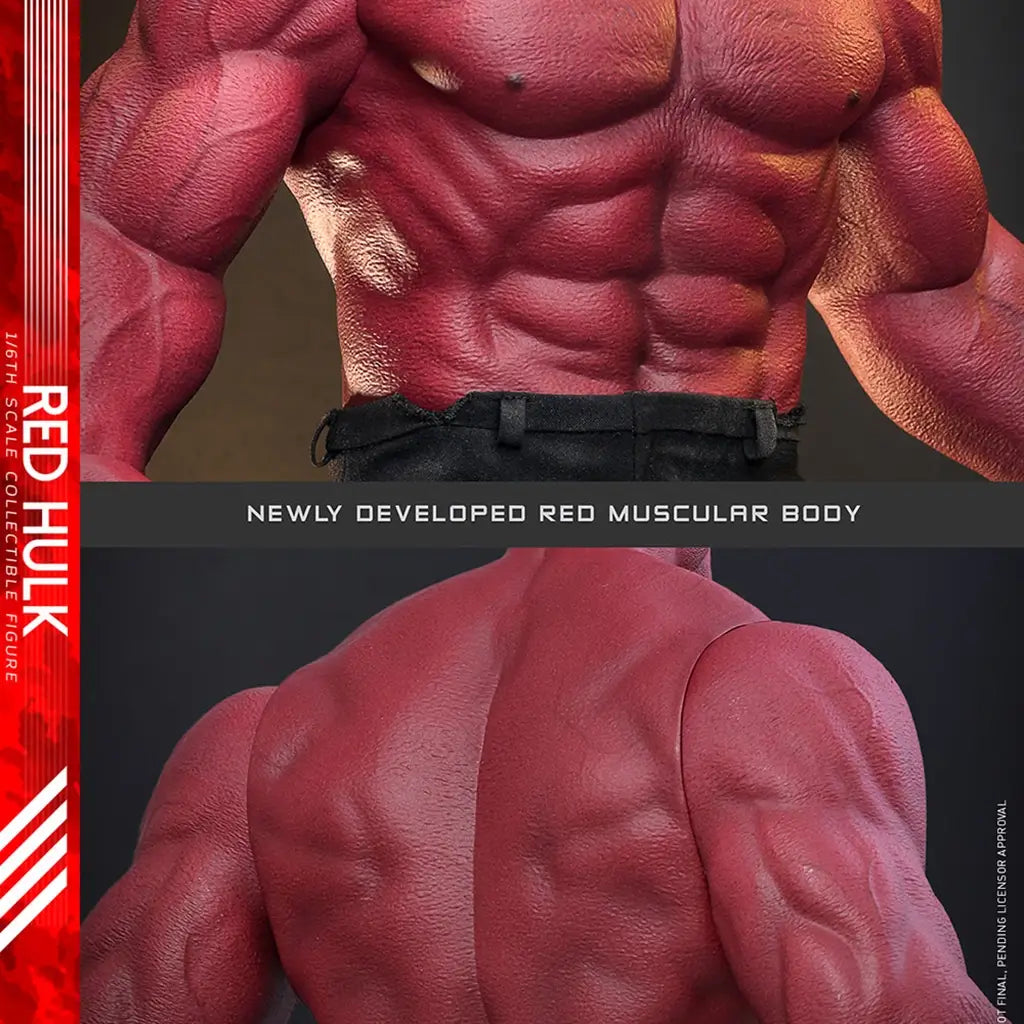 Red Hulk Hot Toys body detail shows textured red skin, a sculpted muscular chest, abs, broad back, and shoulders above black pants, displayed against dark studio backgrounds.