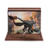 How to Train Your Dragon Toothless dragon figure in black textured plastic with wide wings and green eyes, posed on a clear stand against a scenic canyon backdrop inside a brown display case.