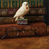 Lifestyle photo of Jim Shore Hedwig figurine placed among vintage books with round glasses, snowy owl holds Hogwarts letter on colorful decorative book base.