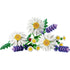 LEGO Botanicals Daisies set featuring white plastic daisy petals with yellow textured centers and green stems, delicate floral shapes for decorative display, arranged as a loose bouquet against a clean white background.