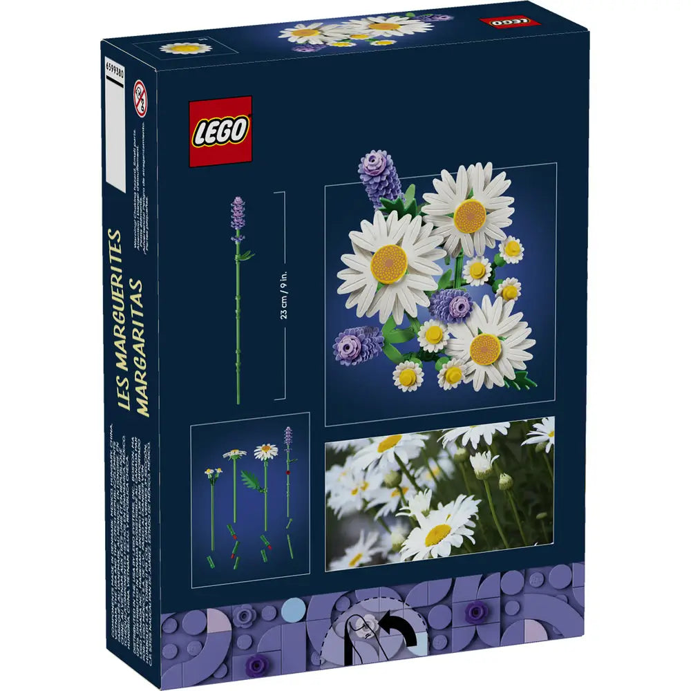 LEGO Botanicals Daisies package back showing assembled daisy bouquet with white petals, yellow centers, and lavender sprigs, decorative brick flower build with dimensions and botanical reference images.