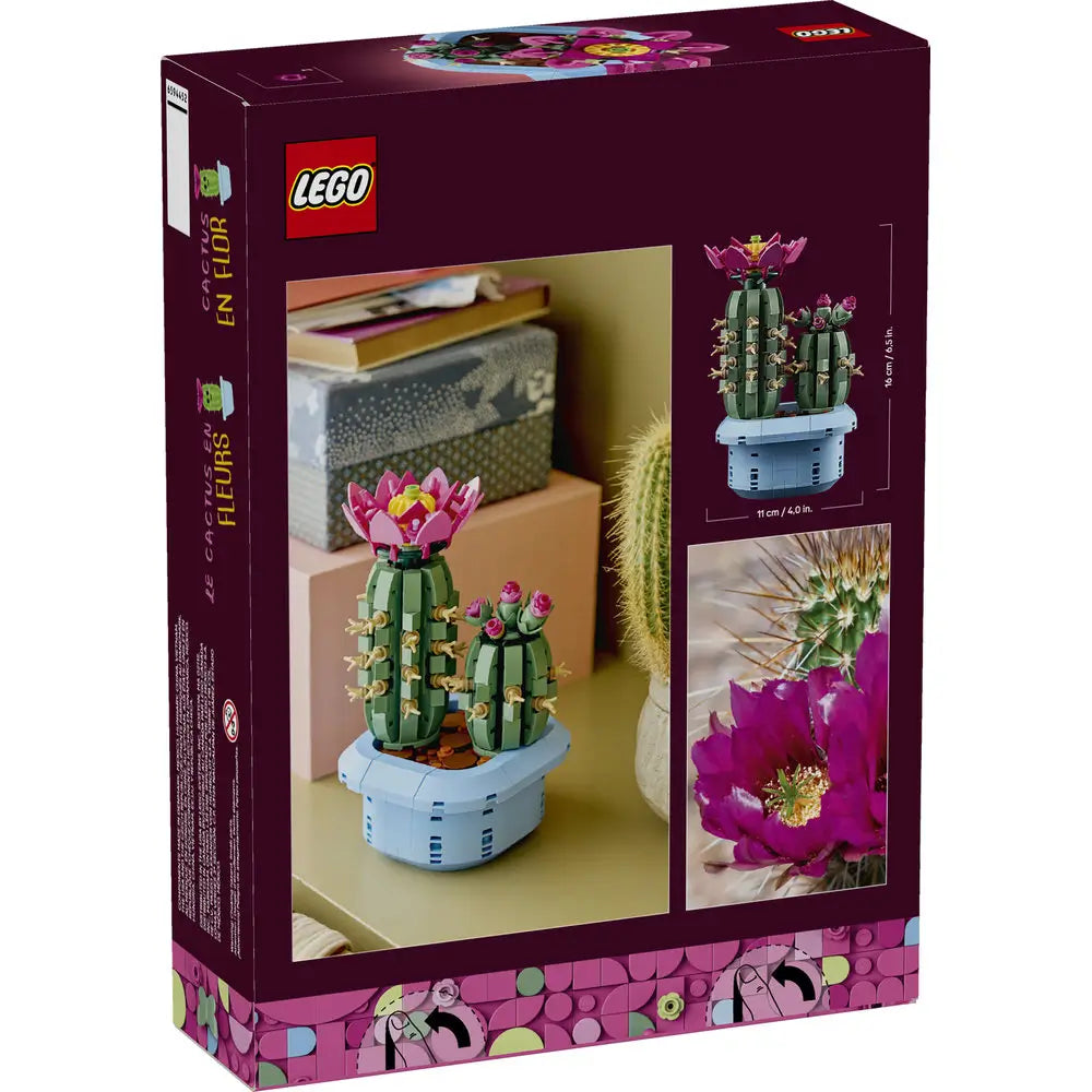 LEGO Botanicals Flowering Cactus package back showing finished cactus model with green plastic stems, pink blooms, and beige spines, decorative brick build with dimensions and real cactus reference imagery.
