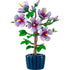LEGO Botanicals Hibiscus plant model showcasing five detailed purple blooms with yellow stamens, green leaves, and a blue cylindrical pot for elegant indoor decoration.