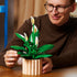 LEGO Botanicals Peace Lily lifestyle builder image showing an adult assembling green plastic leaves and white flower stems, layered botanical shapes for decorative display, holding the build over a tan brick planter.