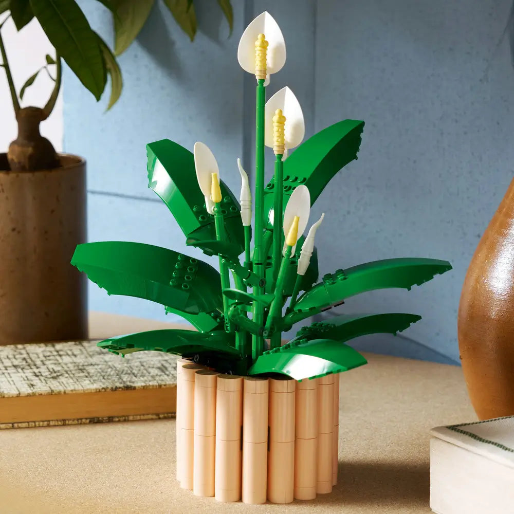 LEGO Botanicals Peace Lily display showing completed green plastic peace lily with white spathes and yellow centers, sculptural brick plant for home decor, arranged in a tan cylindrical planter on a styled shelf.