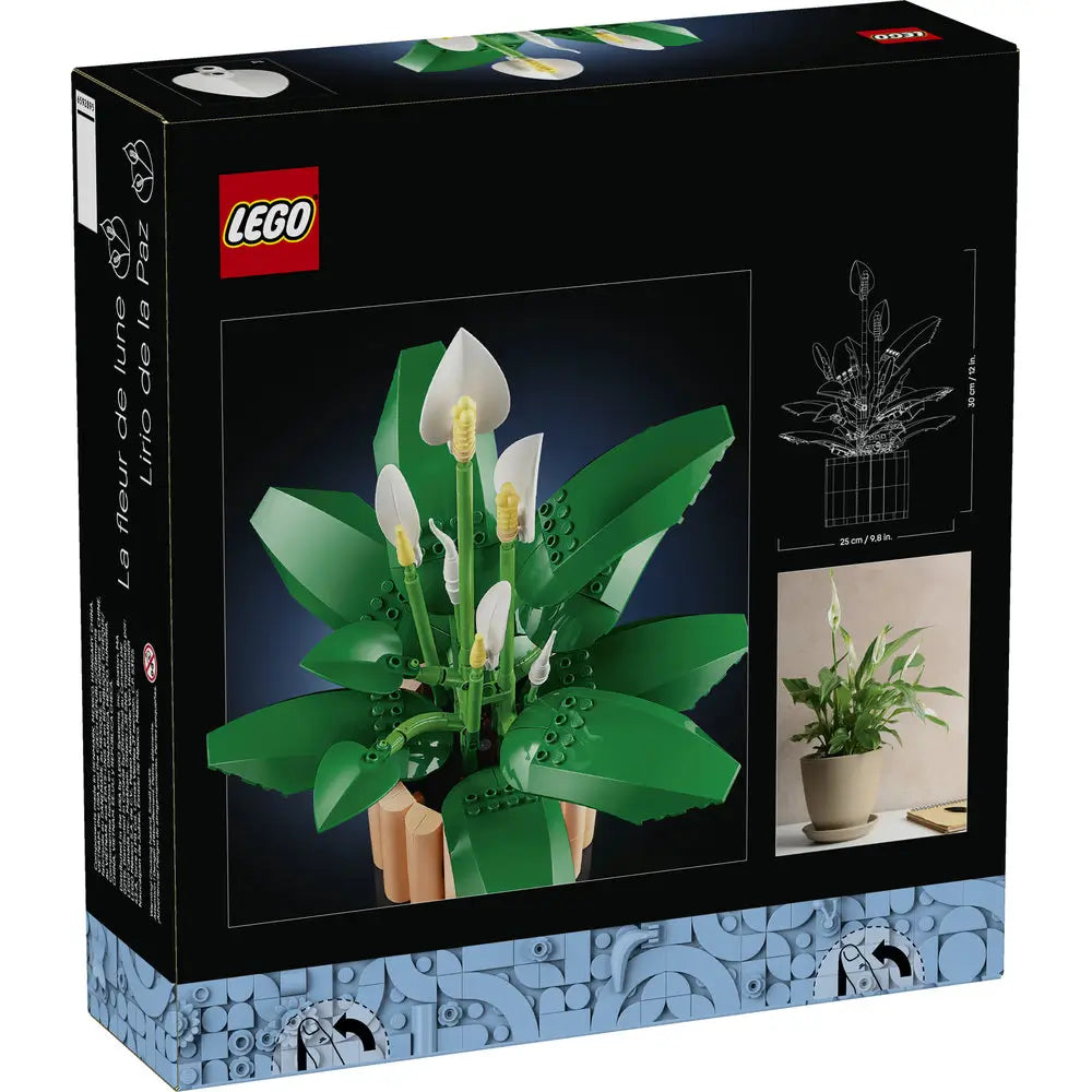LEGO Botanicals Peace Lily package back showing finished plant with green leaves and white blooms, decorative brick botanical build with dimensions, assembly views, and real peace lily reference imagery.
