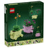 LEGO Botanicals Rocking Plants set 11506 box back shows pink and light green smiling planters with interchangeable leafy flower builds and illustrated movement features.