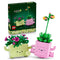 LEGO Botanicals Rocking Plants set 11506 in pink and light green bricks features two smiling flower planters with green foliage, shown beside the dark green retail box.