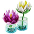 LEGO Botanicals Water Lilies in pink, purple, white, yellow, and green plastic form two layered blooms on stems rising from round transparent aqua display bases.