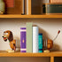 LEGO Disney Pixar Toy Story home decor display features brown and tan plastic Slinky Dog bookends holding upright books, creating a character-themed bookshelf accent in a warm interior setting.