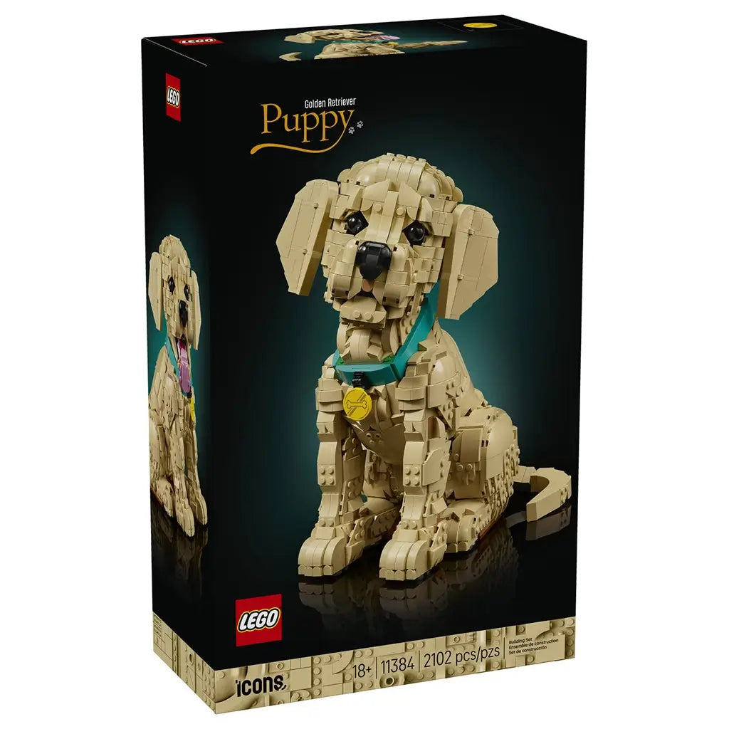 LEGO Icons Golden Retriever Puppy box front features a black cardboard package with tan brick-built dog artwork, product branding and collectible display presentation on a studio backdrop.