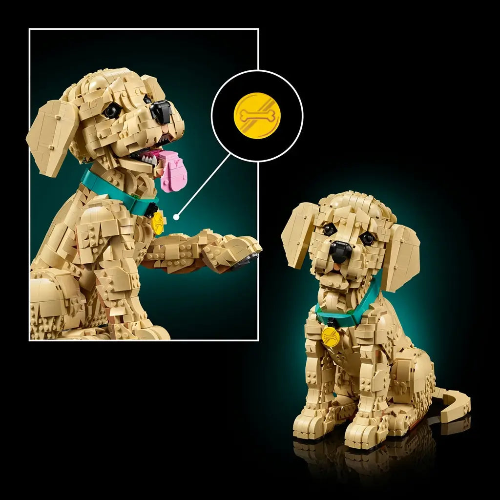 LEGO Icons Golden Retriever Puppy figure features tan plastic brick-built fur, floppy ears and a seated dog form with teal collar, yellow tag and raised paw against a dark display background.