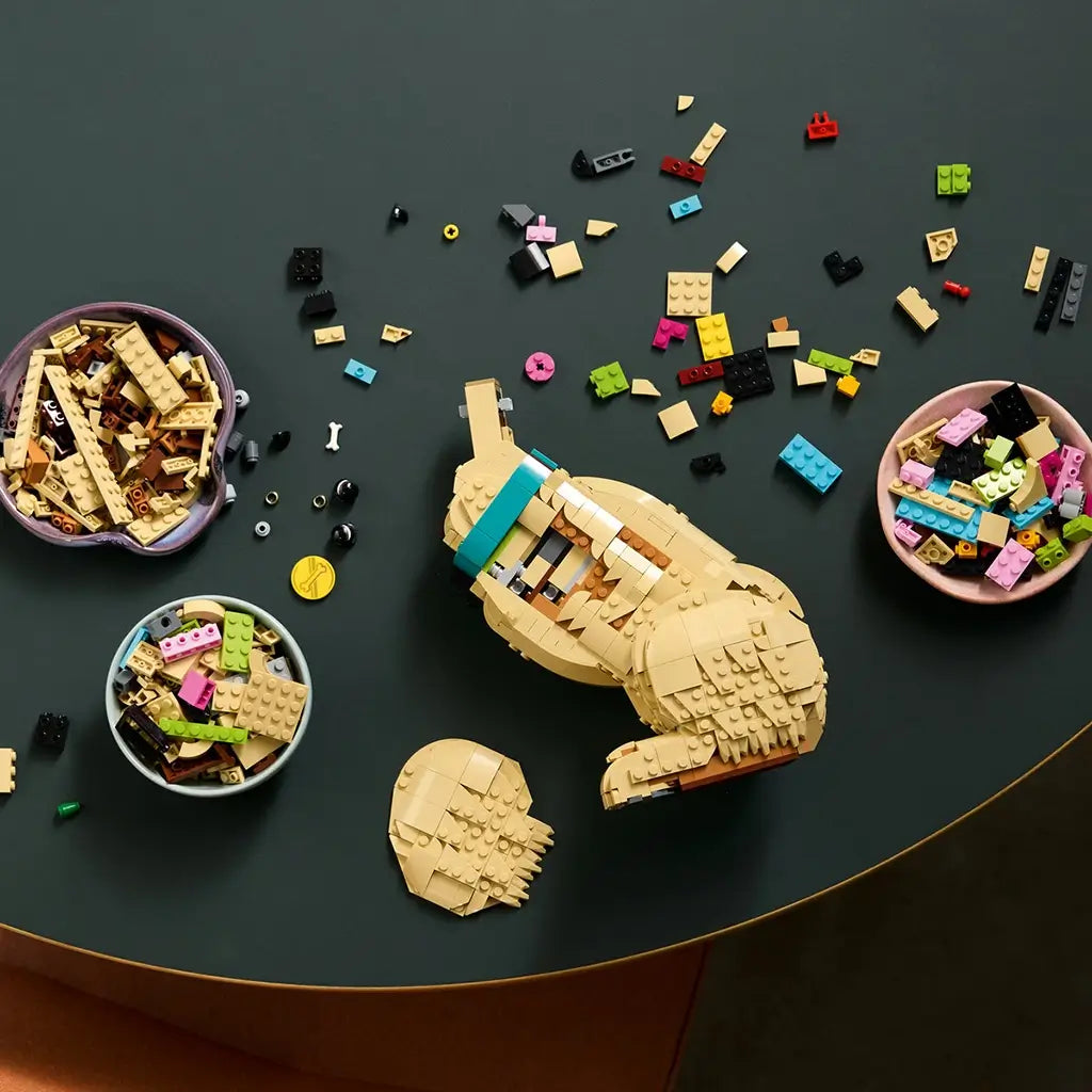 LEGO Icons Golden Retriever Puppy building set shows tan and multicolor plastic bricks, curved body components and dog model sections arranged for assembly across a dark tabletop workspace.