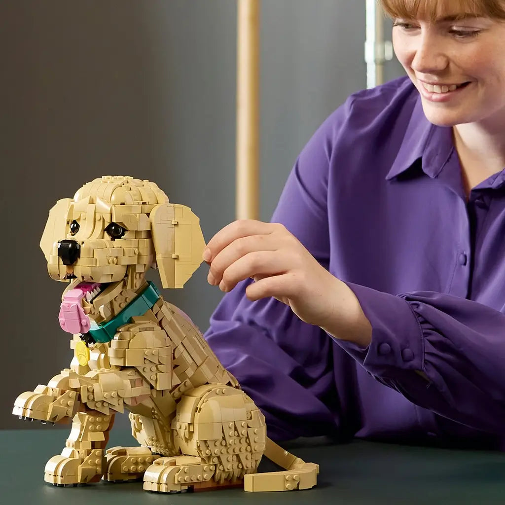 LEGO Icons Golden Retriever Puppy display model features tan plastic brick-built fur, floppy ears and an expressive dog form as a person adjusts the figure indoors on a tabletop.