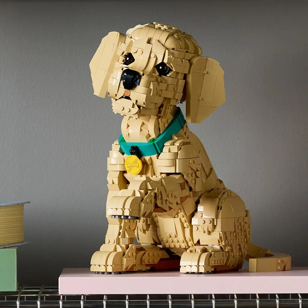 LEGO Icons Golden Retriever Puppy display model features tan plastic brick-built fur, floppy ears and a seated dog form with teal collar, styled on a shelf within a home interior setting.