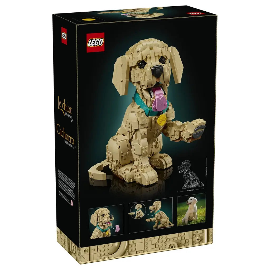 LEGO Icons Golden Retriever Puppy packaging features a black cardboard retail box with tan brick-built dog artwork, playful pose details and product information displayed on the back panel.