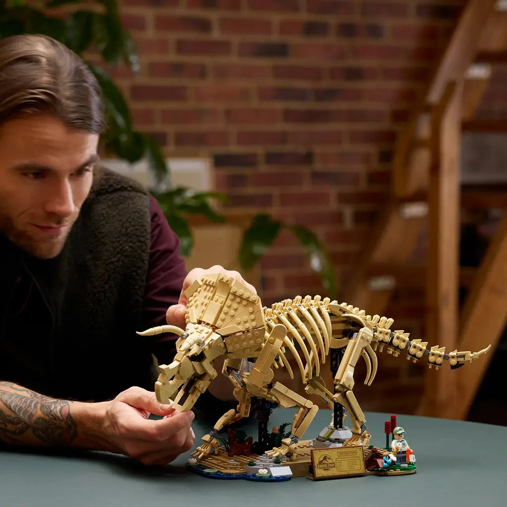 LEGO Jurassic World Triceratops fossil uses tan plastic bricks to form an articulated dinosaur skeleton as an adult adjusts the head on its display base at a table.