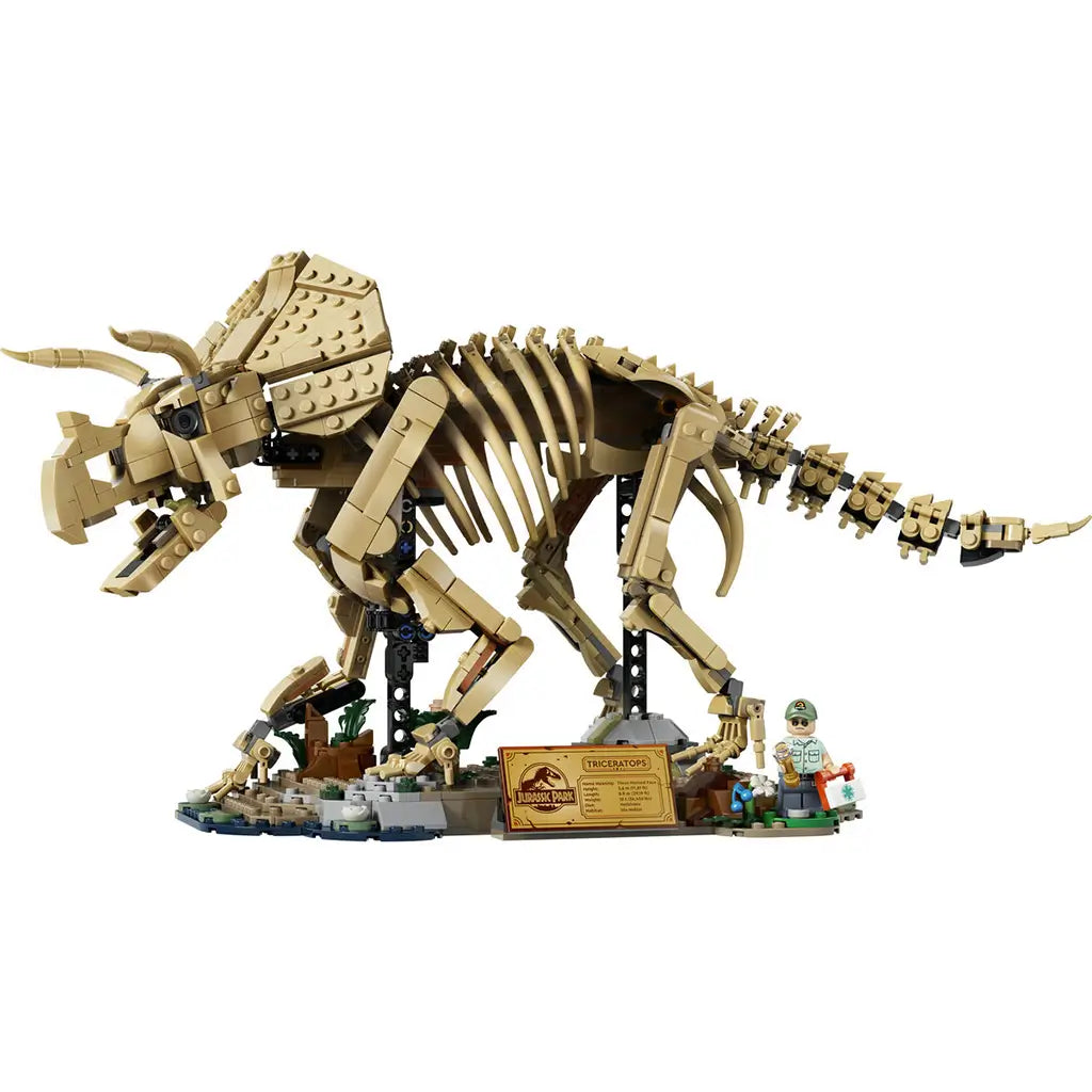 LEGO Jurassic World Triceratops fossil model uses tan plastic bricks to form a horned dinosaur skeleton on a detailed display base with plaque and minifigure against white.