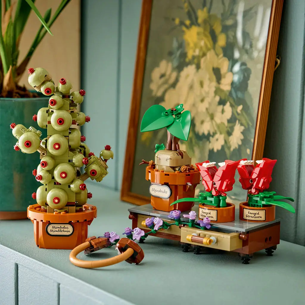 LEGO Harry Potter Hogwarts Herbology Plants display features green, red, brown, and purple brick plants in labeled pots arranged on a shelf beside framed botanical art.