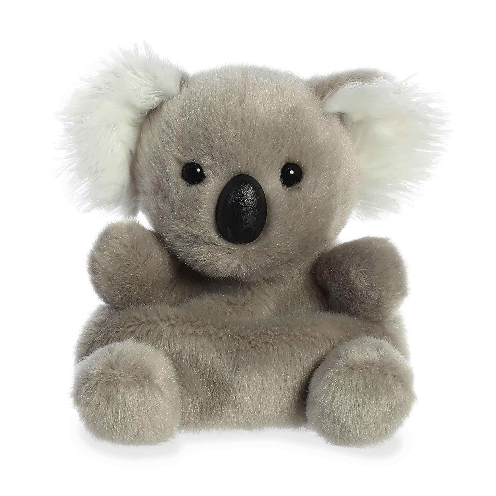 Palm Pals 5" Wiggles Koala Stuffed Animal front