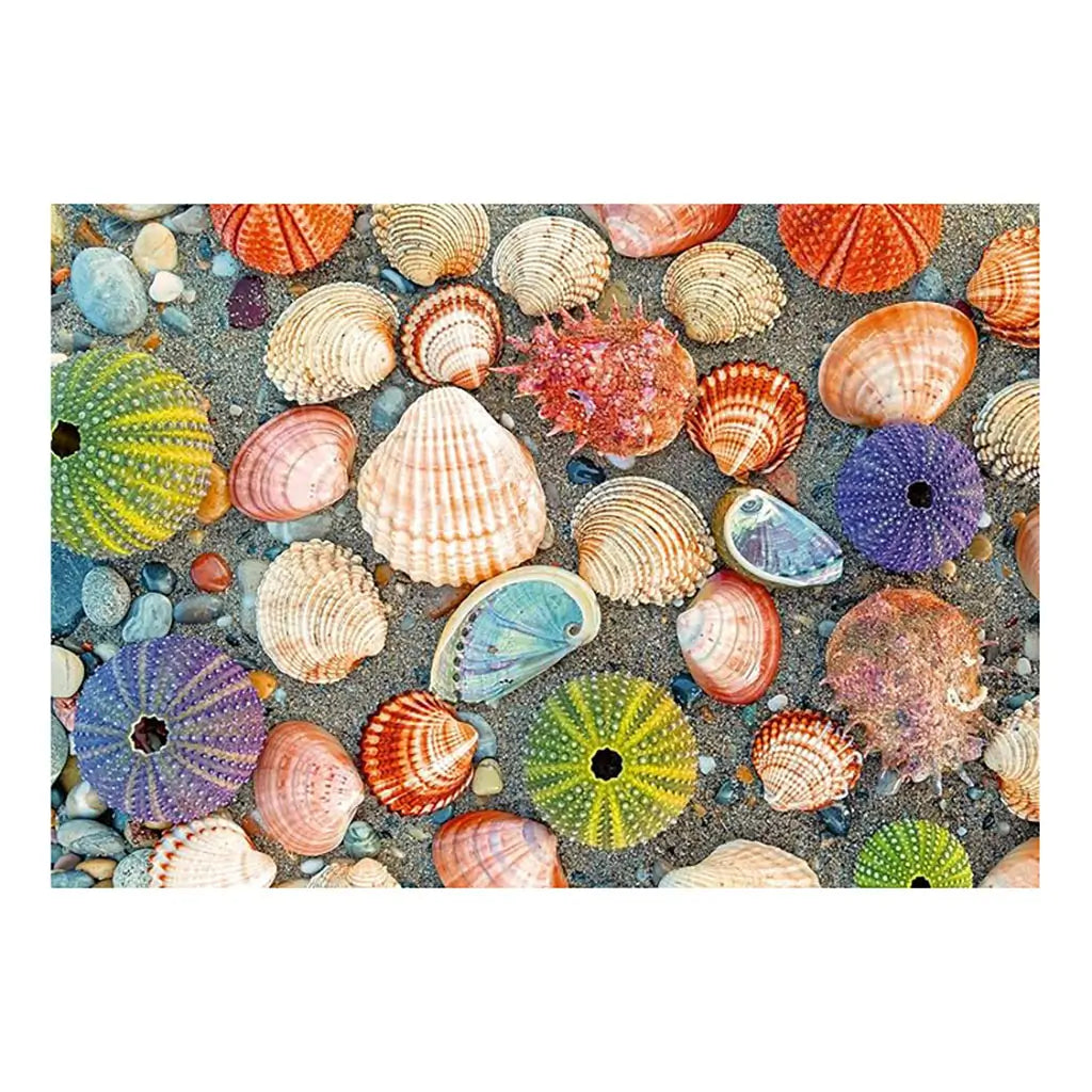 Completed Ravensburger puzzle image showing an assortment of colorful seashells, sea urchins, and beach pebbles arranged naturally on sandy shore background.