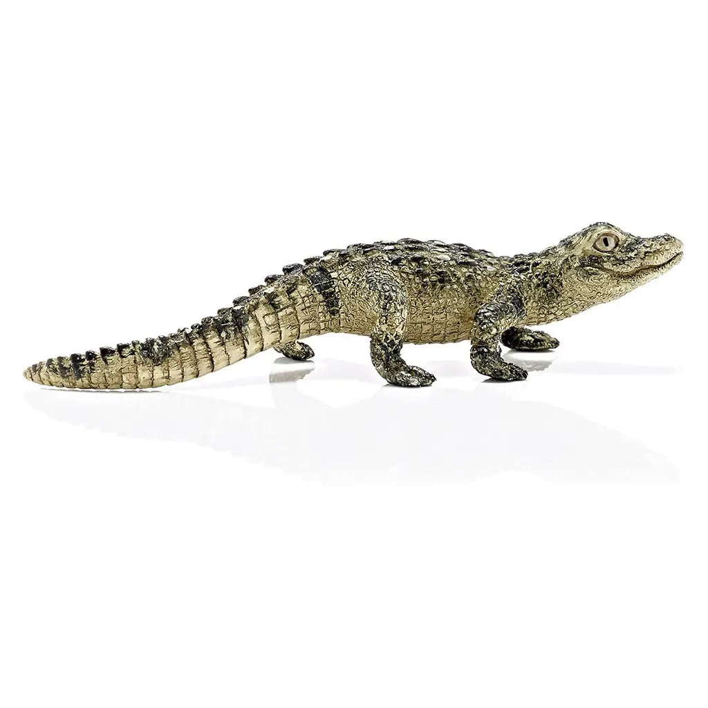 Schleich baby alligator figurine showing olive green and tan textured plastic, left side view with low crawling posture, detailed scale pattern and tail, designed as a realistic animal figure on a clean white background.
