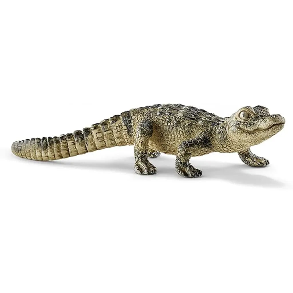 Schleich baby alligator figurine featuring olive green and tan painted scales, textured hard plastic surface, low crawling pose with long tail, and detailed eyes and limbs, designed as a realistic wildlife toy on a white background.