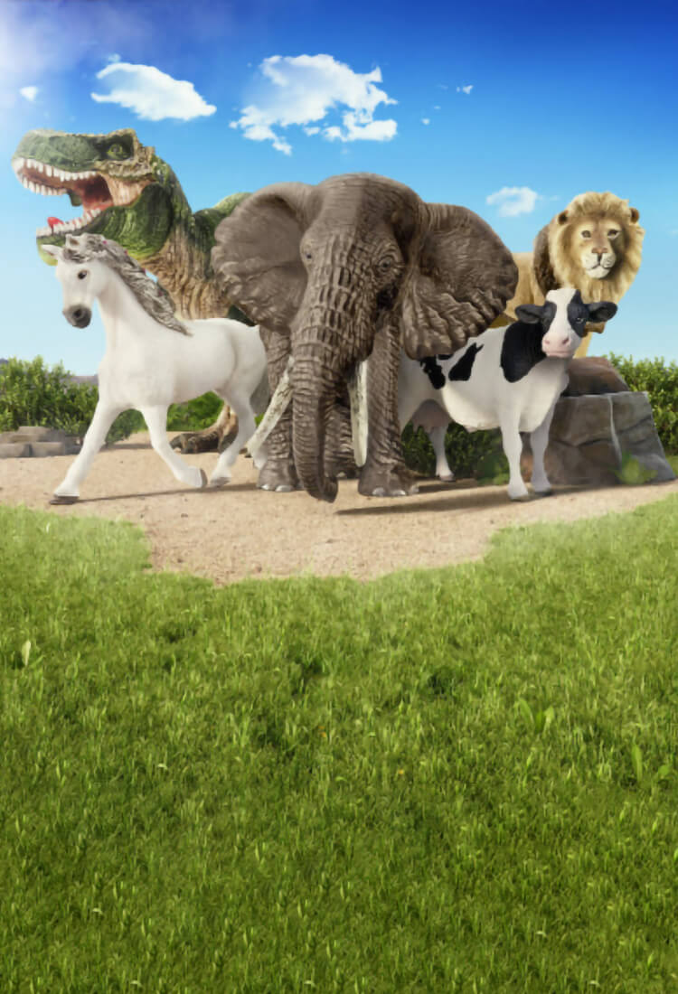 Schleich zoo hot sale set
