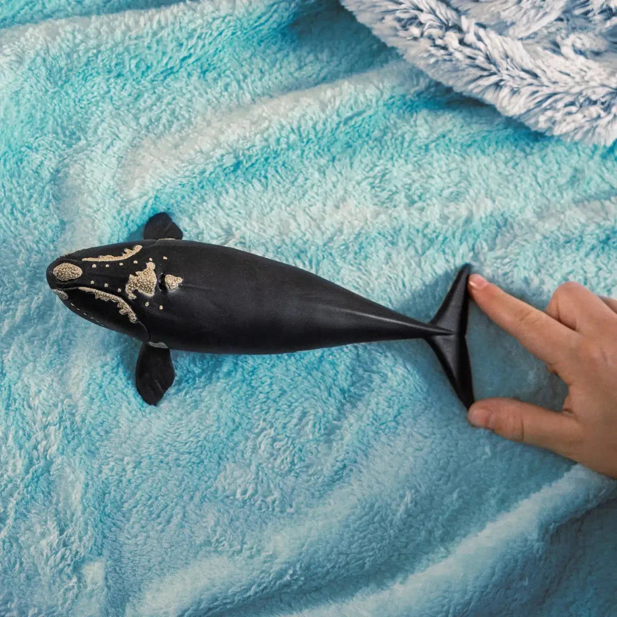 Schleich Wild Life North Atlantic Right Whale