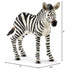 Schleich zebra foal toy showing white and black striped plastic texture, compact standing form, sculpted ears and tail, with labeled dimensions for size reference, presented on a plain white studio background.
