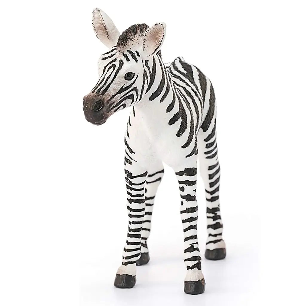 Schleich zebra foal figurine with white and black striped molded plastic, upright youthful proportions, detailed facial features and hooves, created for imaginative animal play and educational display on a white background.