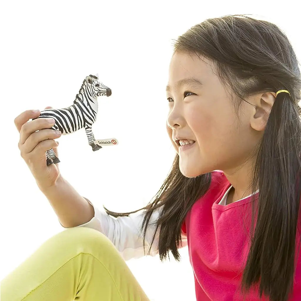 Schleich zebra foal toy held by a smiling child, showing white and black striped plastic texture, small realistic animal form, and sturdy design, illustrating scale and hands on play in a bright outdoor setting.