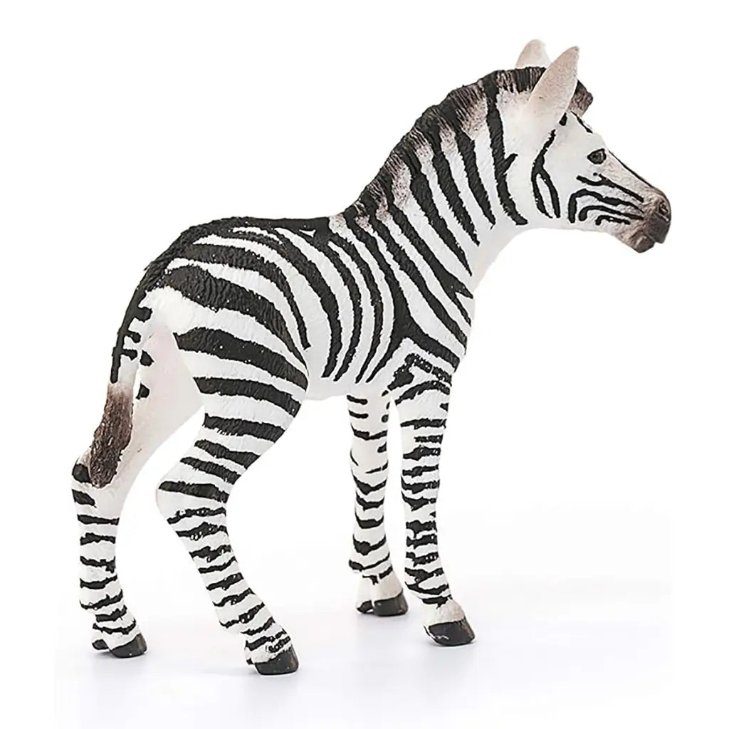 Schleich zebra foal figurine displaying white and black striped textured plastic, rear angled standing pose, sculpted tail and legs, designed as a durable wildlife toy against a clean white background.