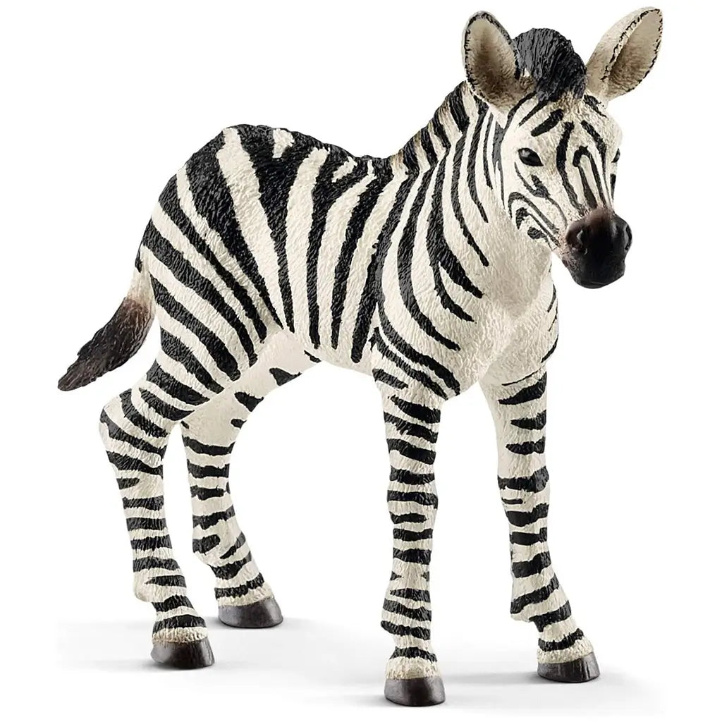 Schleich zebra foal figurine featuring white and black painted stripes, textured hard plastic surface, realistic standing pose, and detailed mane and hooves, designed as a small scale wildlife toy on a clean white background.