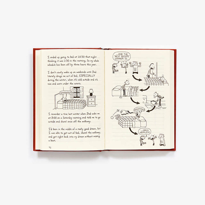 Diary of a Wimpy Kid #7 The Third Wheel – Maziply Toys
