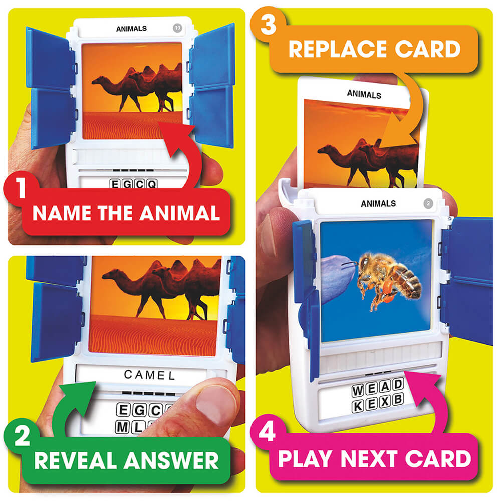 100 Pics Animals Quiz Double Sided Card Game