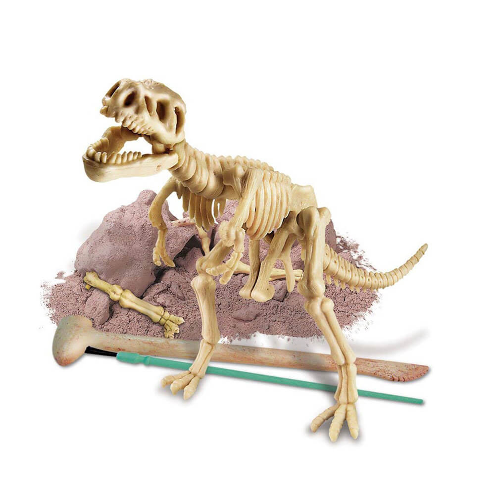 4M KidzLabs Dig a Dinosaur Skeleton Tyrannosaurus Rex Science Kit