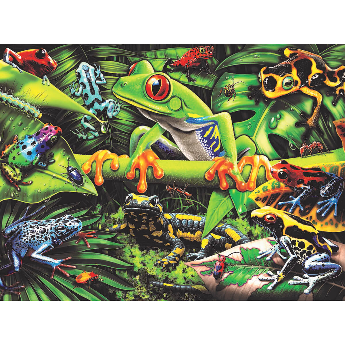 Ravensburger Amazing Amphibians 35 Piece Puzzle