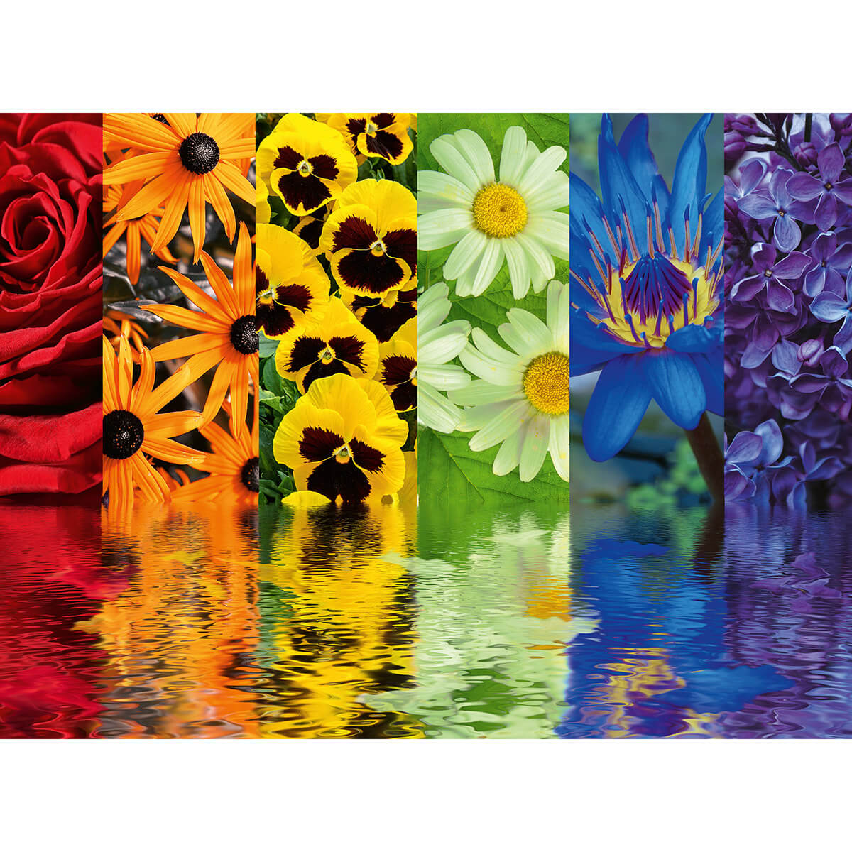 Ravensburger Floral Reflections 500 Piece Jigsaw Puzzle
