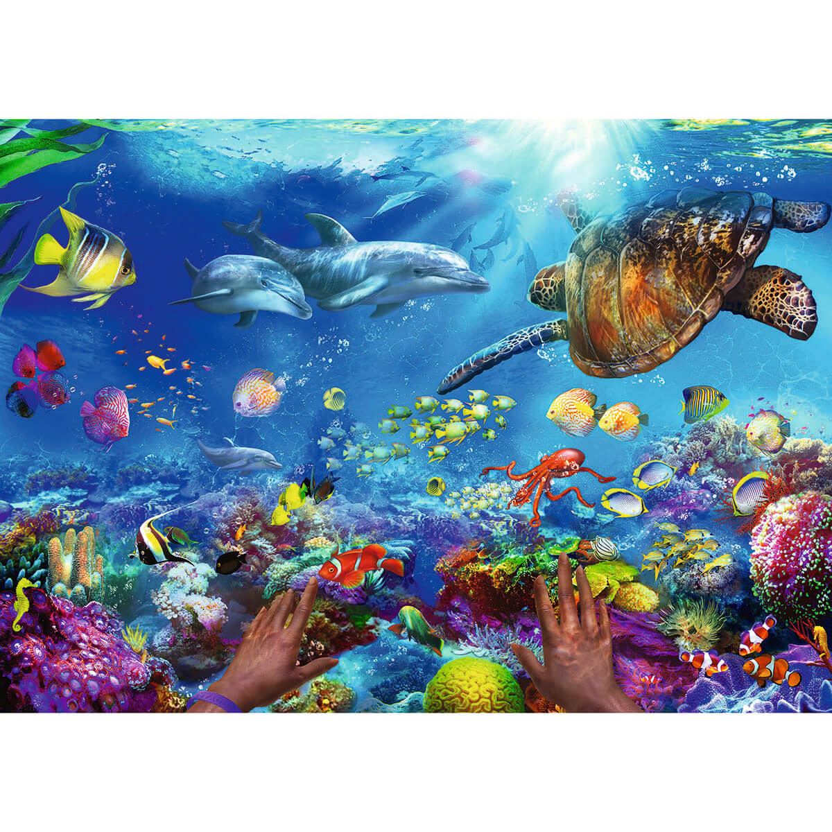 Ravensburger Snorkeling  1000 Piece Puzzle